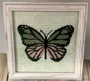 Photograph of product.